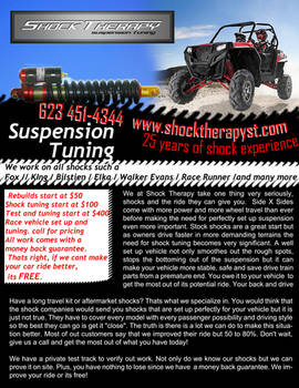 Shock Terrpy - shock tunning services Flyer
