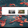 Naranja | 100 watchers special