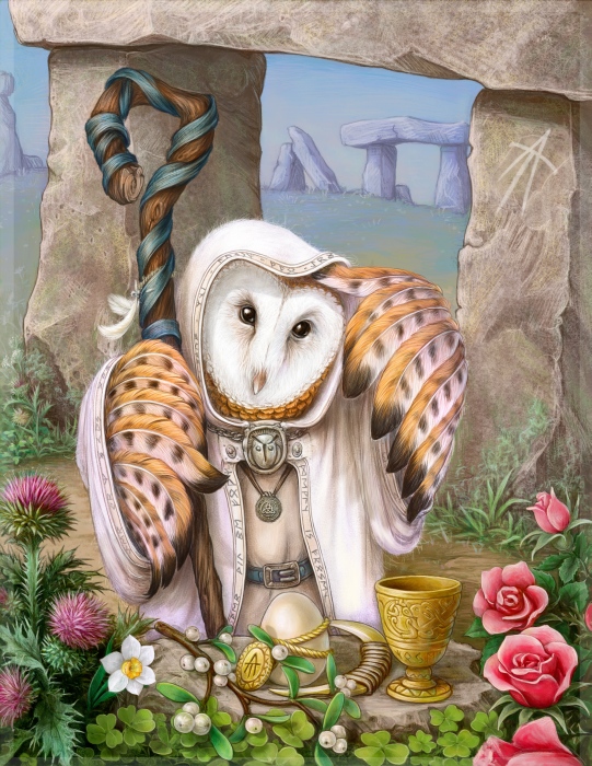 owl druid