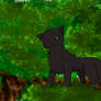 Hollyleaf