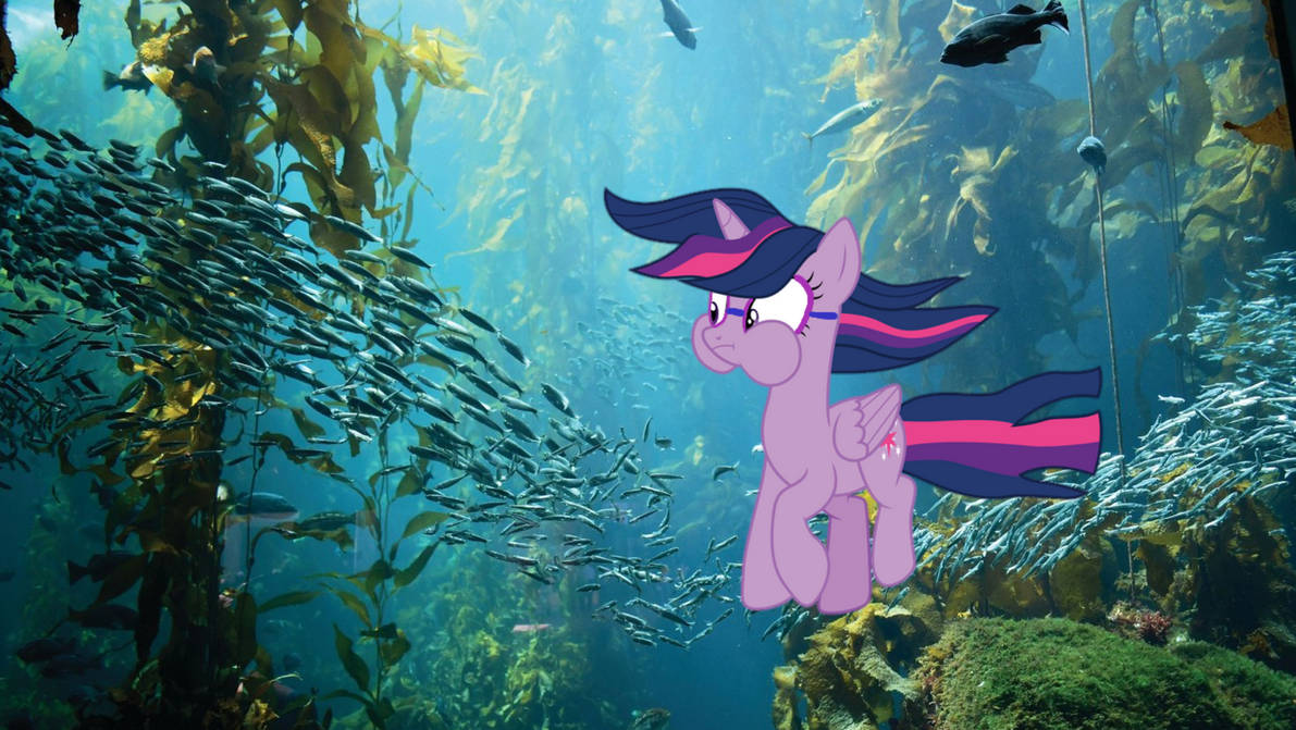 Twilight Sparkle Exploring the Ocean by ThomasTrainfan2006 on DeviantArt