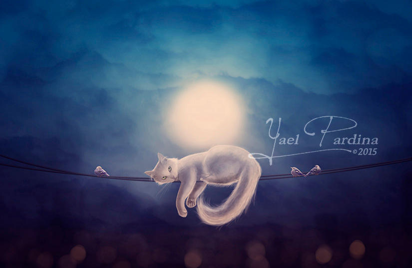 Dreams of flying by YaelPardina Dreams of flying by YaelPardina