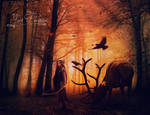 In the woods beyond the realm by YaelPardina