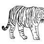 Free Tiger Lineart - Stripes