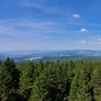 View from the tower