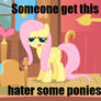 Fluttershy Loves Haters