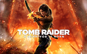 Tomb Raider - Unofficial Wallpaper 1940x1213