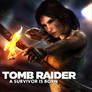Tomb Raider A Survivor Is Born - Unofficial Poster