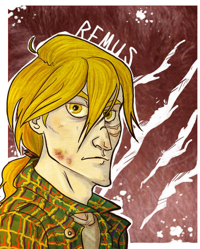 Remus Raccoon Remus_ by Alatariel-Amandil on DeviantArt