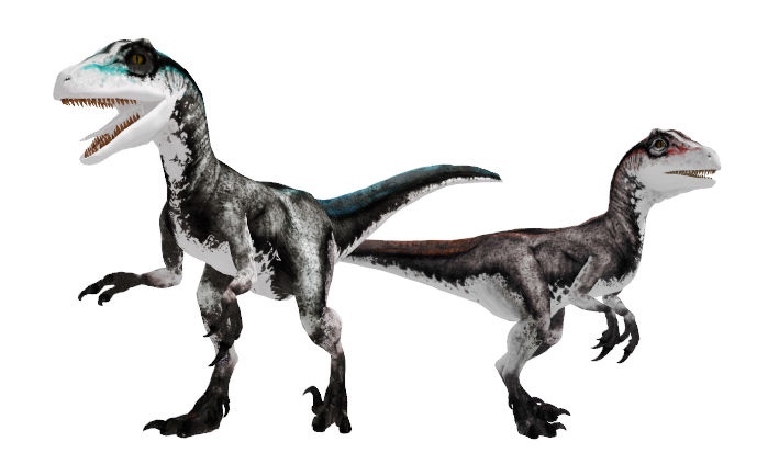 MMD Primeval Raptor Pack DL by PekkaMemester on DeviantArt