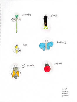 All Insects List Deviantart buwanrirumoonproject on DeviantArt