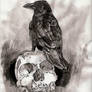 'The Raven'