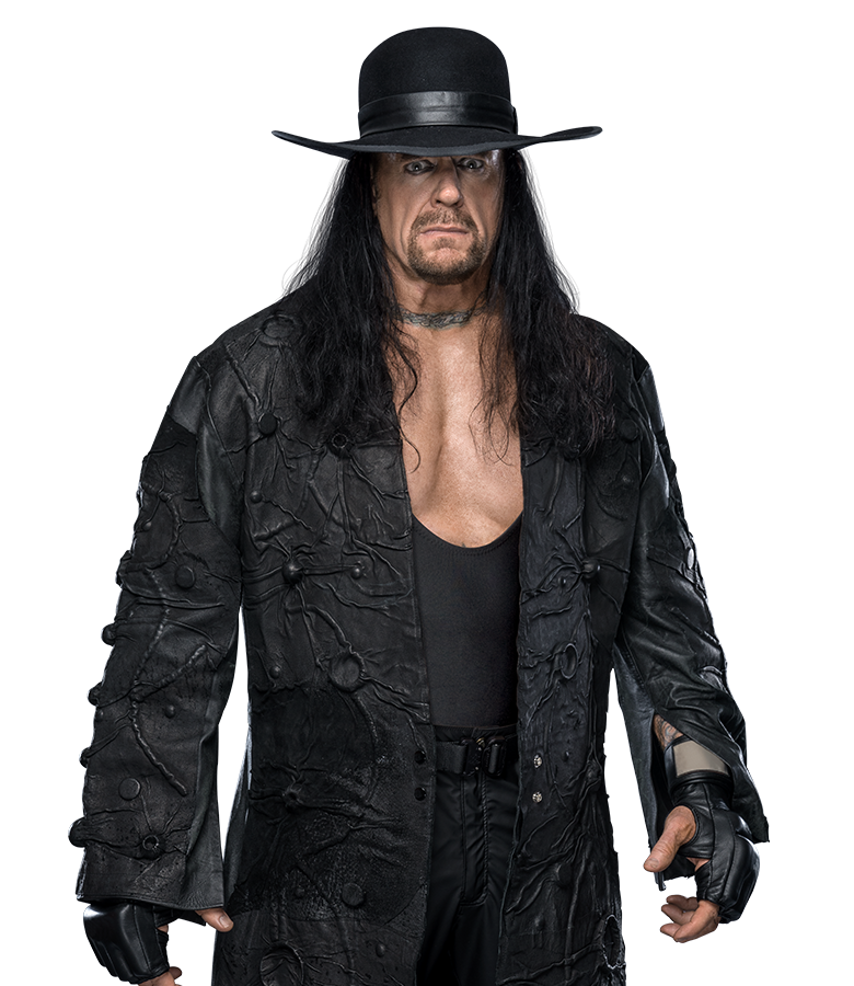 The hot sale undertaker 2019