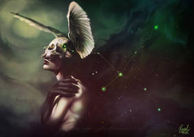 Swan