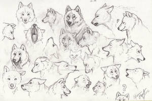 Fenrir sketches