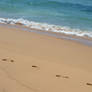 Footsteps on beach