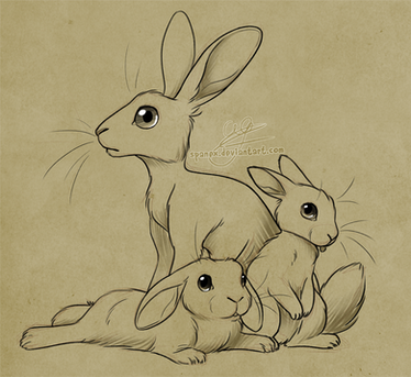 Explore the Best Rabbit Art | DeviantArt