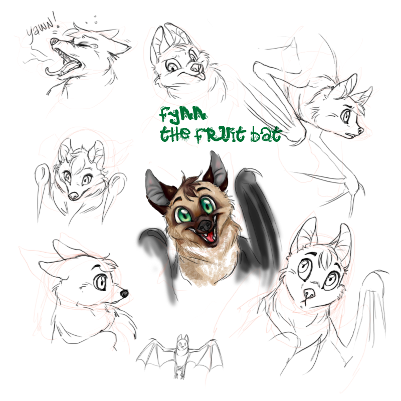 Fynn the Fruit bat