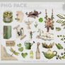 Pack PNG #17 - Random aesthetic nature things
