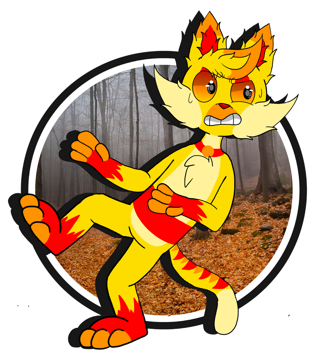 Pyro The Cat by deadaccounttt on DeviantArt