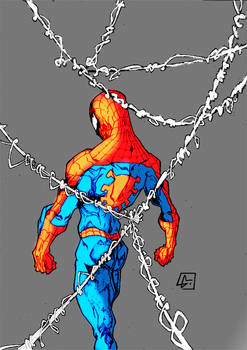 Spiderman Mad     Colors