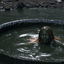 A weakened, filthy Supergirl emerges from Phantom Zone slime pit