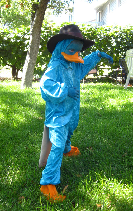 Perry the Platypus Cosplay 2