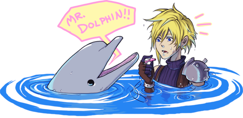 MR DOLPHIN