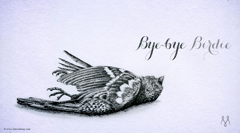 Bye-bye Birdie!