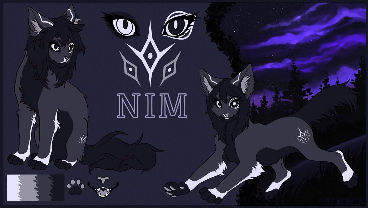 NIM [cat]