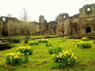 Kirkstall Abbey in Spring 2011