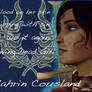 Kahrin DART Signature Banner