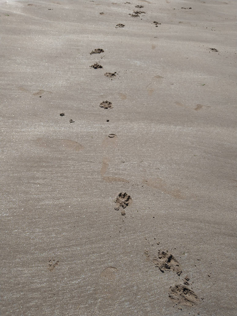 Sandprints by AstroWriter on DeviantArt