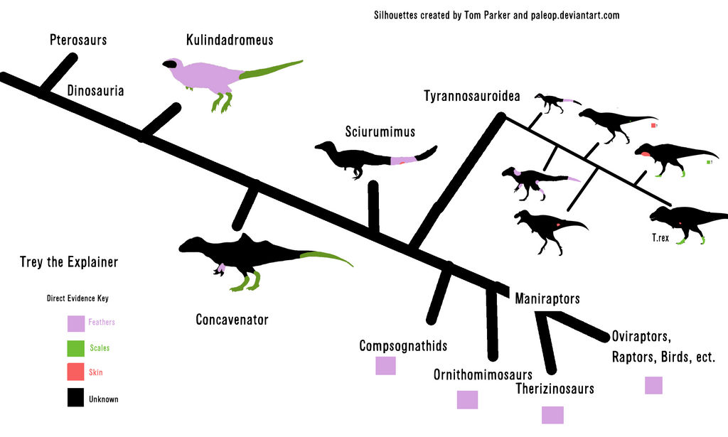 Direct Evidence of Integument in mostly Theropoda