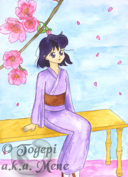 Sailormoon - Hotaru - Hanami