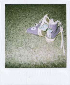 POLA Butterflies converse