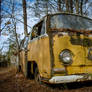 Shaggy Wagon