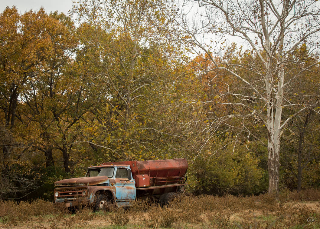 Run Ragged by FabulaPhoto on DeviantArt