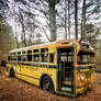 Big Yellow II