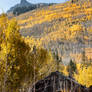 Wanderlust: A Colorado Autumn
