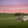 Out to Pasture