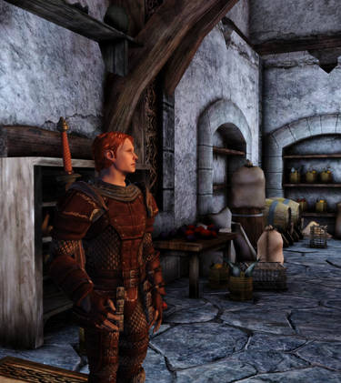 Dragon Age: Origins Screenshots by Saturnyu on DeviantArt