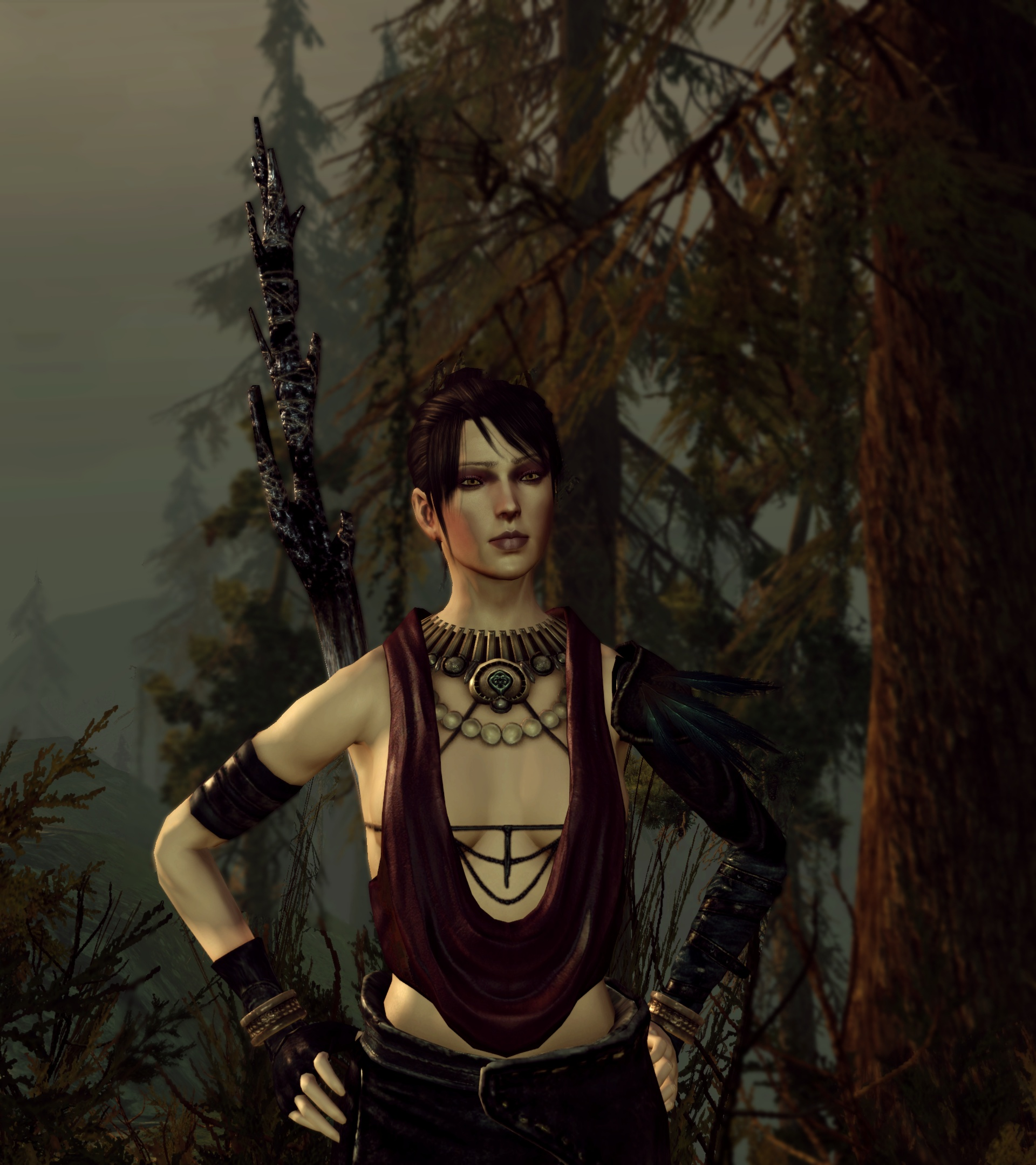 Dragon Age: Origins Screenshots by Saturnyu on DeviantArt