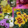 Photo Collage No.2