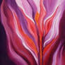 Canna Lily