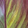 Abstract Leaf Pattern