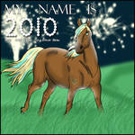 New years card : 2010