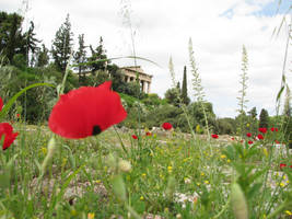 The Temple of Hephaestus