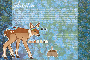 Amelia Reference Sheet