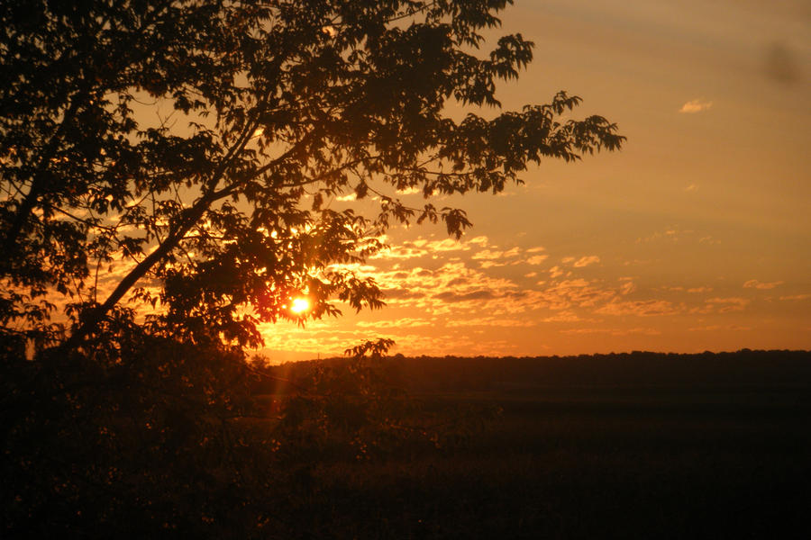 Pench Sunrise